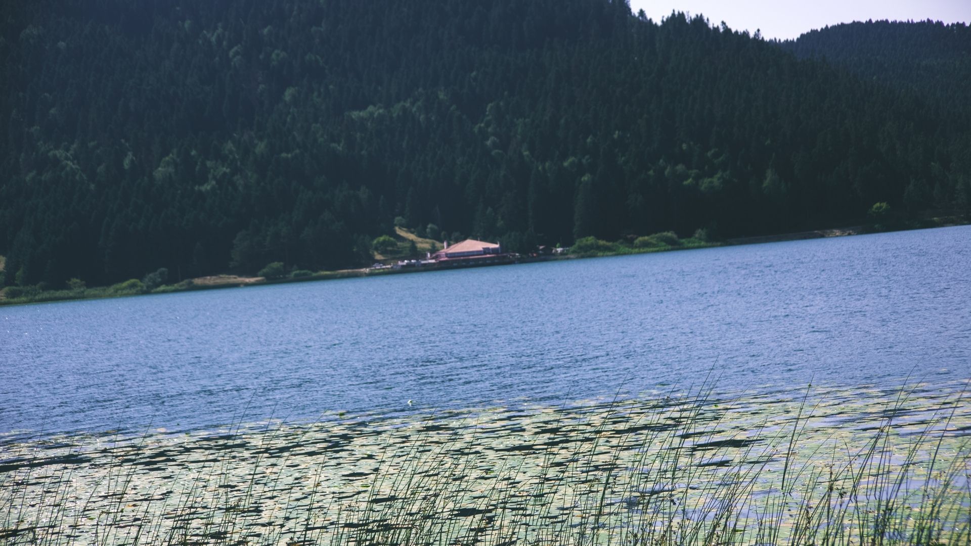 SYS Çevre ve İSG Laboratuvarı  / Bolu