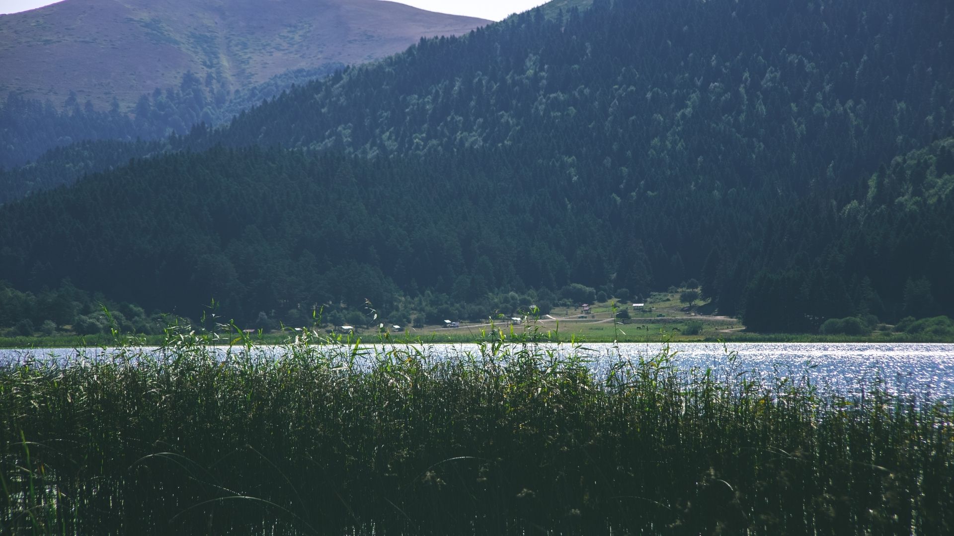SYS Çevre ve İSG Laboratuvarı  / Bolu