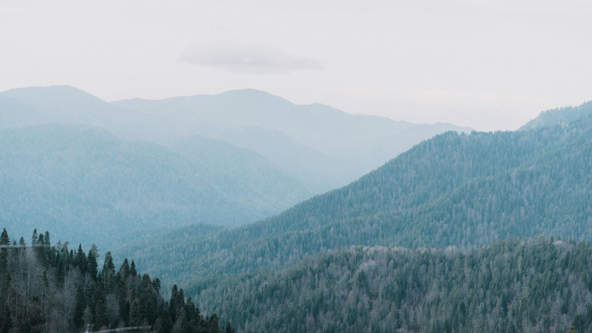 SYS Çevre ve İSG Laboratuvarı  / Bolu