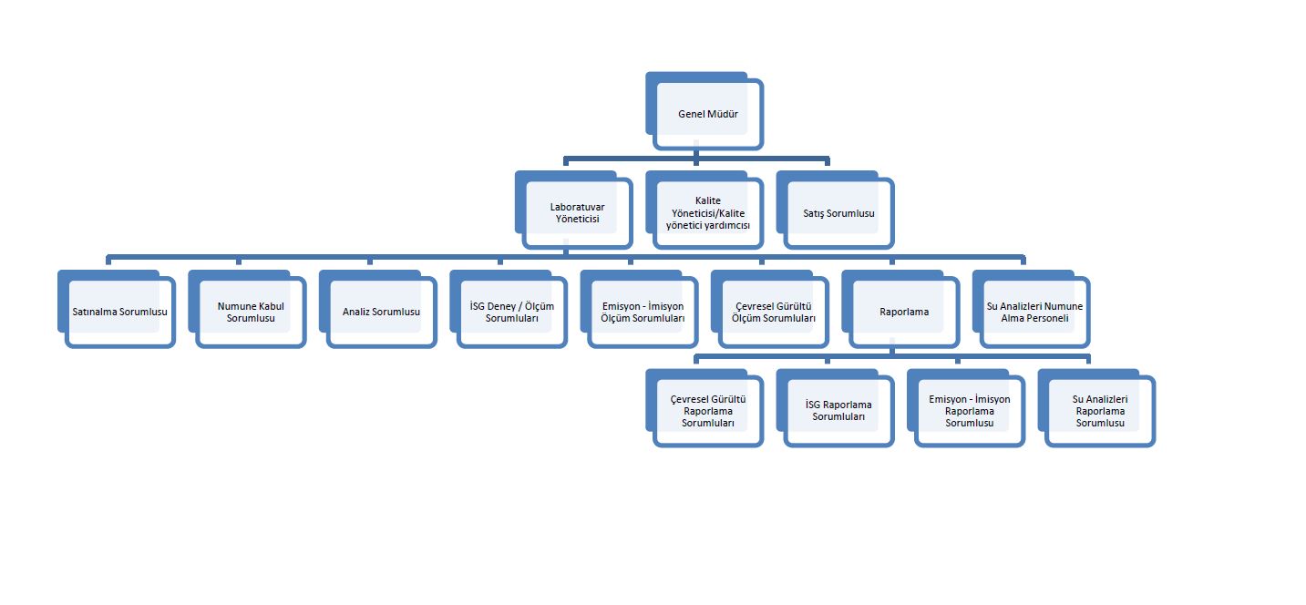 organizasyon yapısı